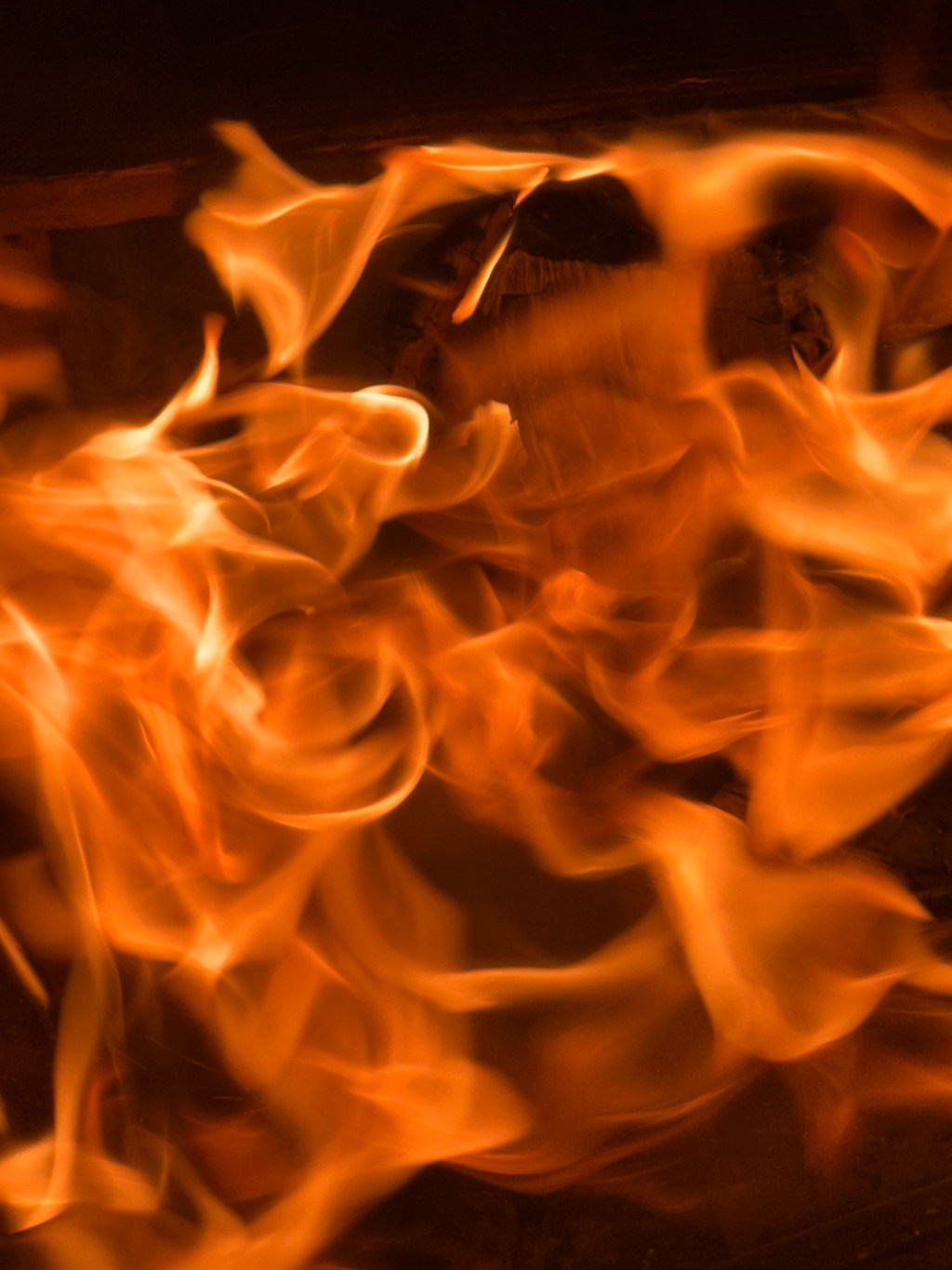 Muerte al juez… y otros actos de renacer