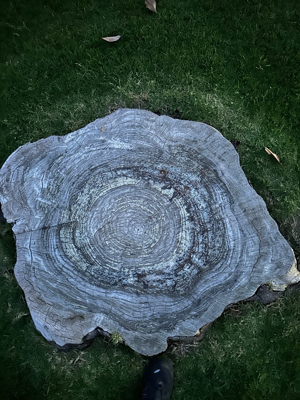 Los acuerdos que nos&nbsp;sostienen