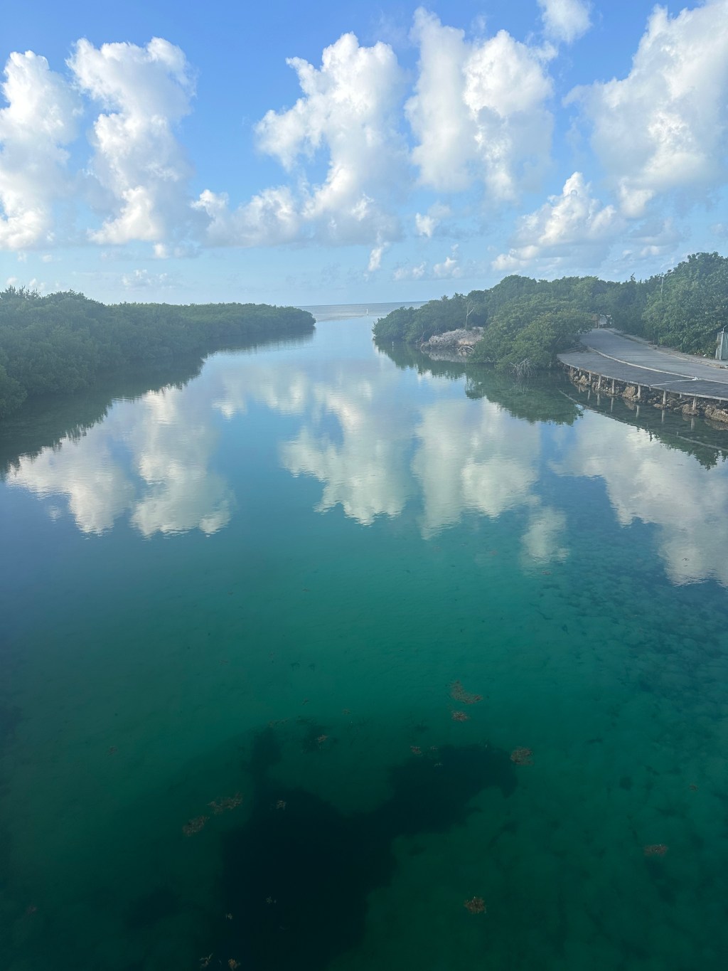 Los rituales que nos&nbsp;sostienen