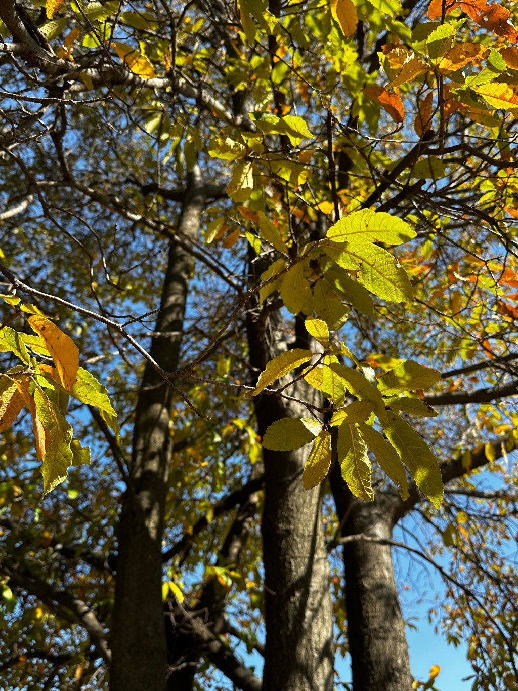 El alma en&nbsp;pausa